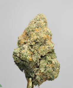 (AAAA) Island Pink Kush - Image 3