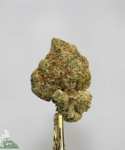 (AAAA) Ghost Train Haze - Image 3