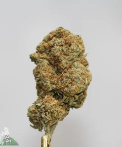 (AAAA) Ghost Train Haze - Image 2