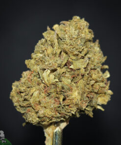 (AAA-) Kandy Kush