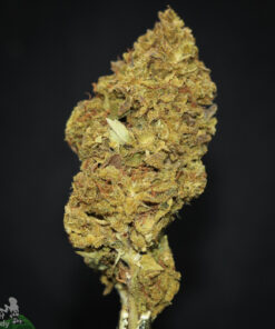 (AAA-) Kandy Kush - Image 2