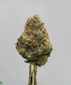 Cannabis bud on a metal skewer with frosty trichomes and orange hairs, against a plain gray background; Kush Buddy watermark bottom-left.