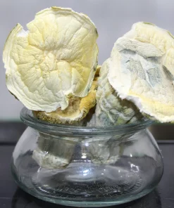 GhostCap - Magic Mushrooms - Albino Goldies - Image 2
