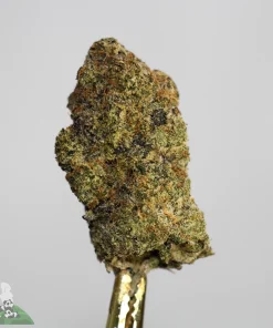 Black Series - Bulk - Grinch Thunderfuck - Image 2