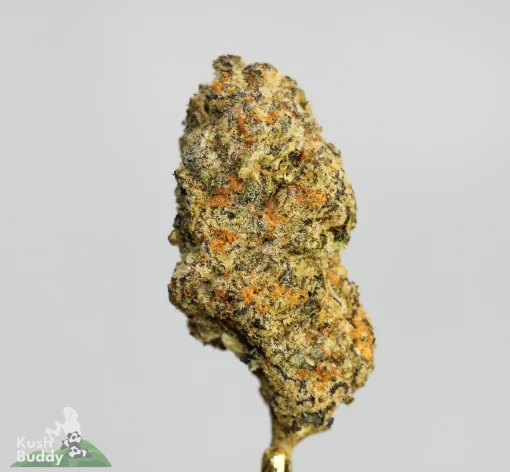 (AAA+ - Bulk) Grinch Thunderfuck