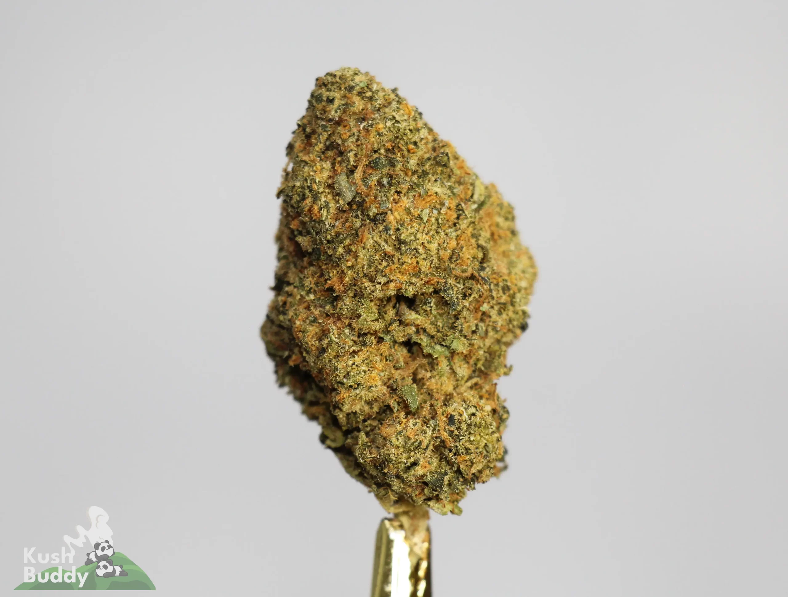 (AAA) Love Potion #9