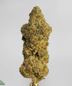 (AAA) Love Potion #9 - Image 2