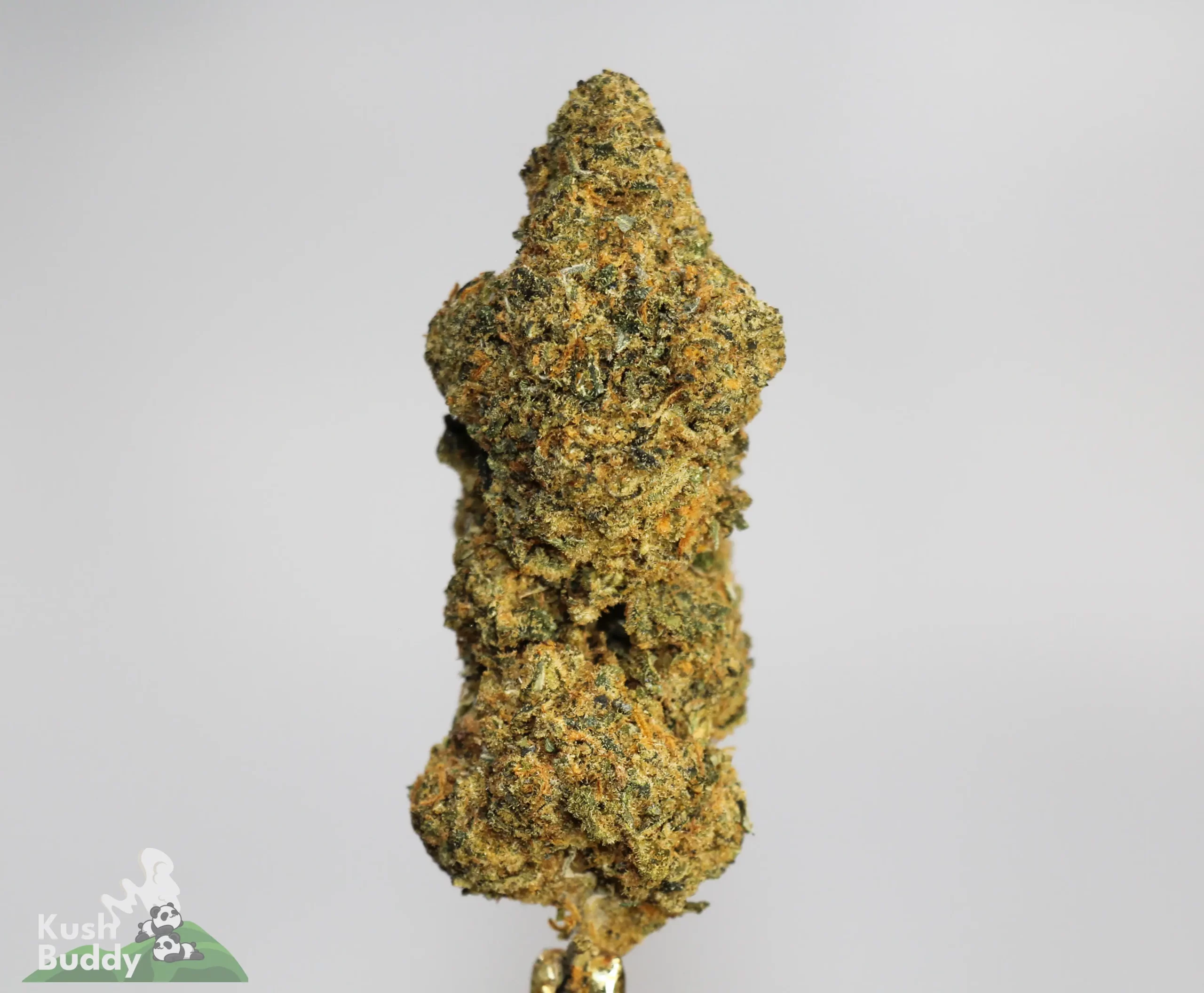 (AAA) Love Potion #9 - Image 2