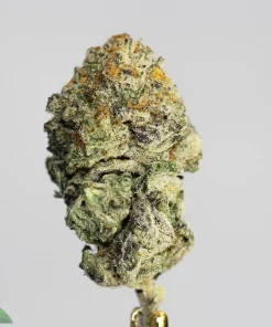 Black Series - Wizard Cookies