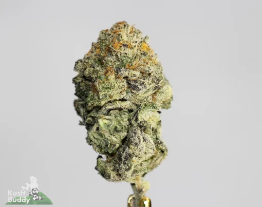 Black Series - Wizard Cookies