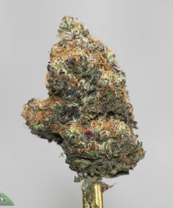 Black Series - Wizard Cookies - Image 2