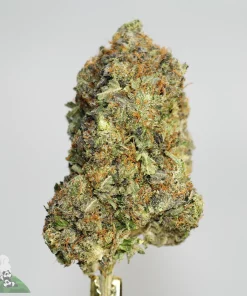 Black Series - Astroman's Pink Goo - LSO
