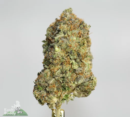 Black Series - Astroman's Pink Goo - LSO