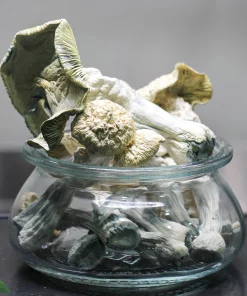 GhostCap - Magic Mushrooms - Blue Meanies - Image 2