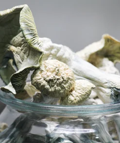 GhostCap - Magic Mushrooms - Blue Meanies - Image 3