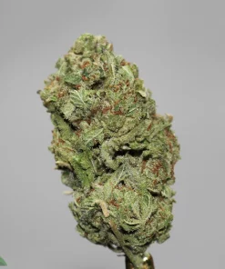 (AAA+) Cookies & Cream