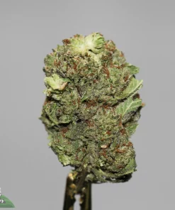 (AAA+) Cookies & Cream - Image 2
