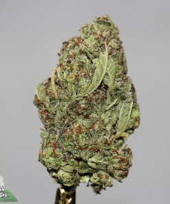(AAA+) Cookies & Cream - Image 3