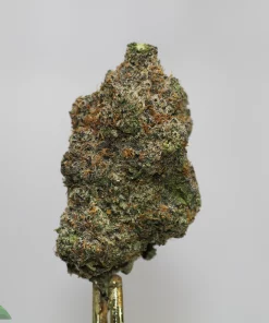 Close-up of a dense cannabis bud covered in white trichomes, with green and orange pistils, against a light gray background.