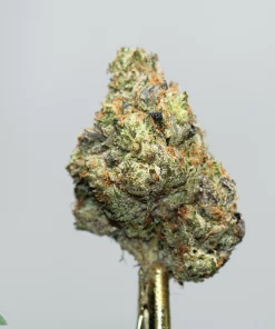 Close-up of a frosty cannabis bud with green leaves and orange hairs on a gold stem, watermark reading 'Kush Buddy' visible in the corner