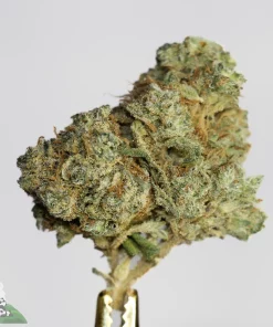 pineapple express