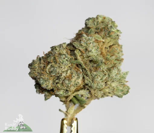 pineapple express