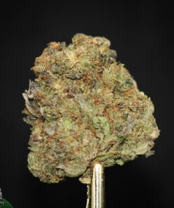 Black Series - Tom Brady Pink Kush - Image 3