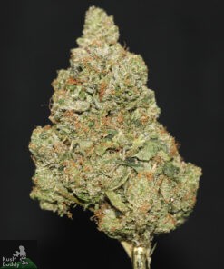 (AAAA) Obama Pink Kush