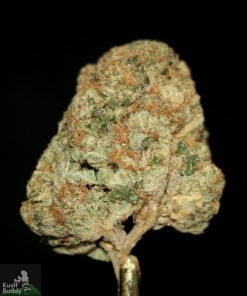 (AAAA) Obama Pink Kush - Image 2