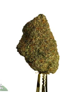 (AAA+ - Bulk) Cabin Fever x LSD - Image 2