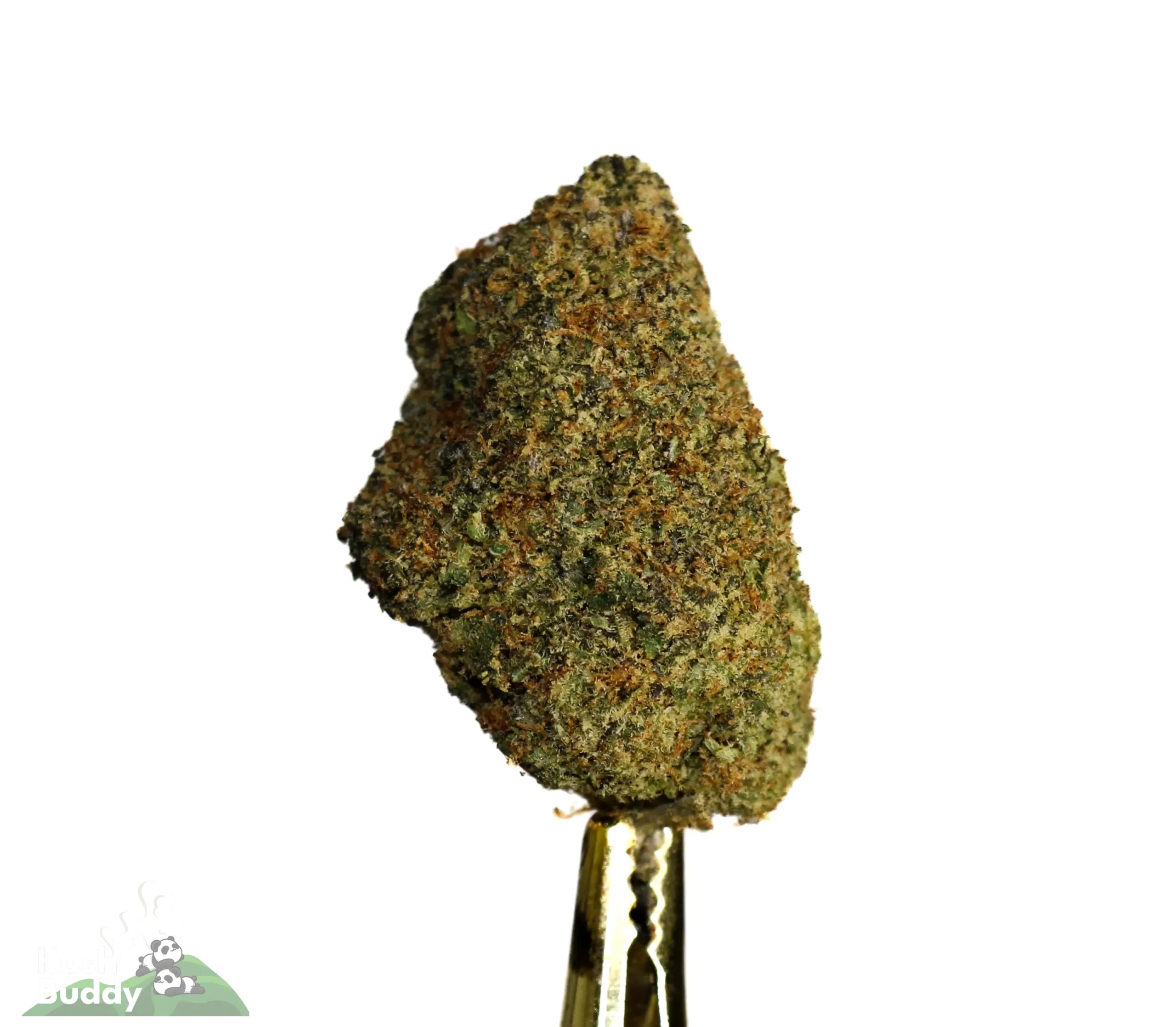 (AAA+ - Bulk) Cabin Fever x LSD - Image 2