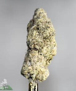 Star Dust - Kombucha - Snowball Moonrocks (40% THC)
