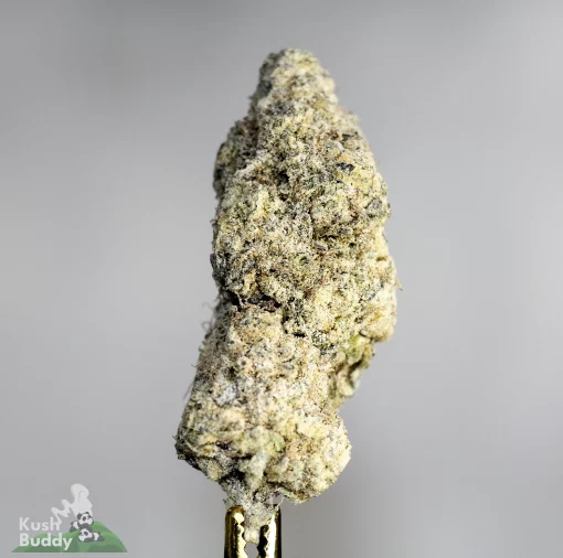 Star Dust - Kombucha - Snowball Moonrocks (40% THC)