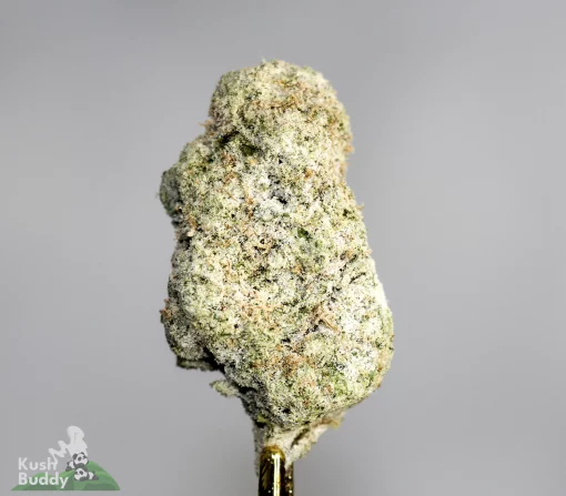 Star Dust - Blueberry OG Kush - Snowball Moonrocks (40% THC)