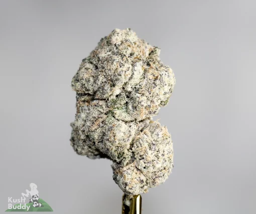 Star Dust - OG Gas - Snowball Moonrocks (40% THC)