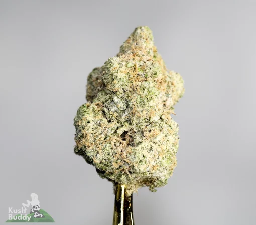 Star Dust - Glueberry - Snowball Moonrocks (40% THC)