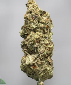 Close-up of a cannabis bud covered in frosty trichomes, with green leaves and orange pistils against a gray background.