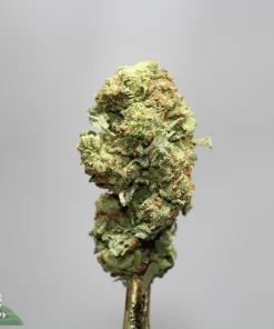 Close-up of a frosty cannabis bud with green, orange hairs, on a stem, against a gray background (Kush Buddy watermark in corner).