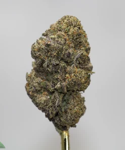 Close-up of a cannabis bud on a stem, covered in frosty trichomes with green, purple, and orange hues; 'Kush Buddy' logo visible in the bottom-left corner.