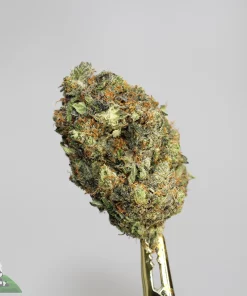 Black Series - Zombie Kush OG (LSO) - Image 2