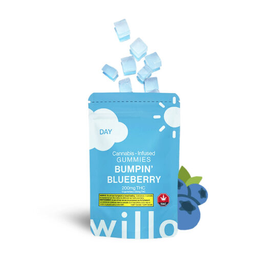 Willo Gummies - Bumpin' Blueberry (200mg Day/Focus/Energy)