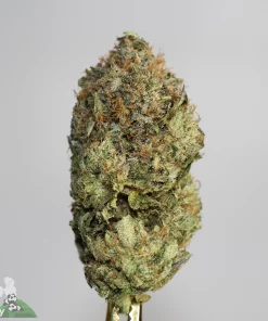 Black Series - Space Jamz Pink (LSO)