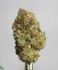 Black Series - Space Jamz Pink (LSO) - Image 2