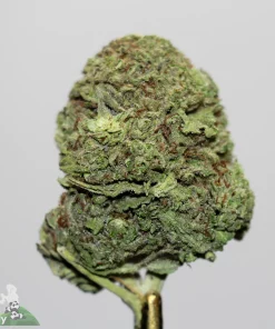 akb - northern lights - jan25 2