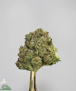 (AAAA-) Super Silver Haze - Image 2
