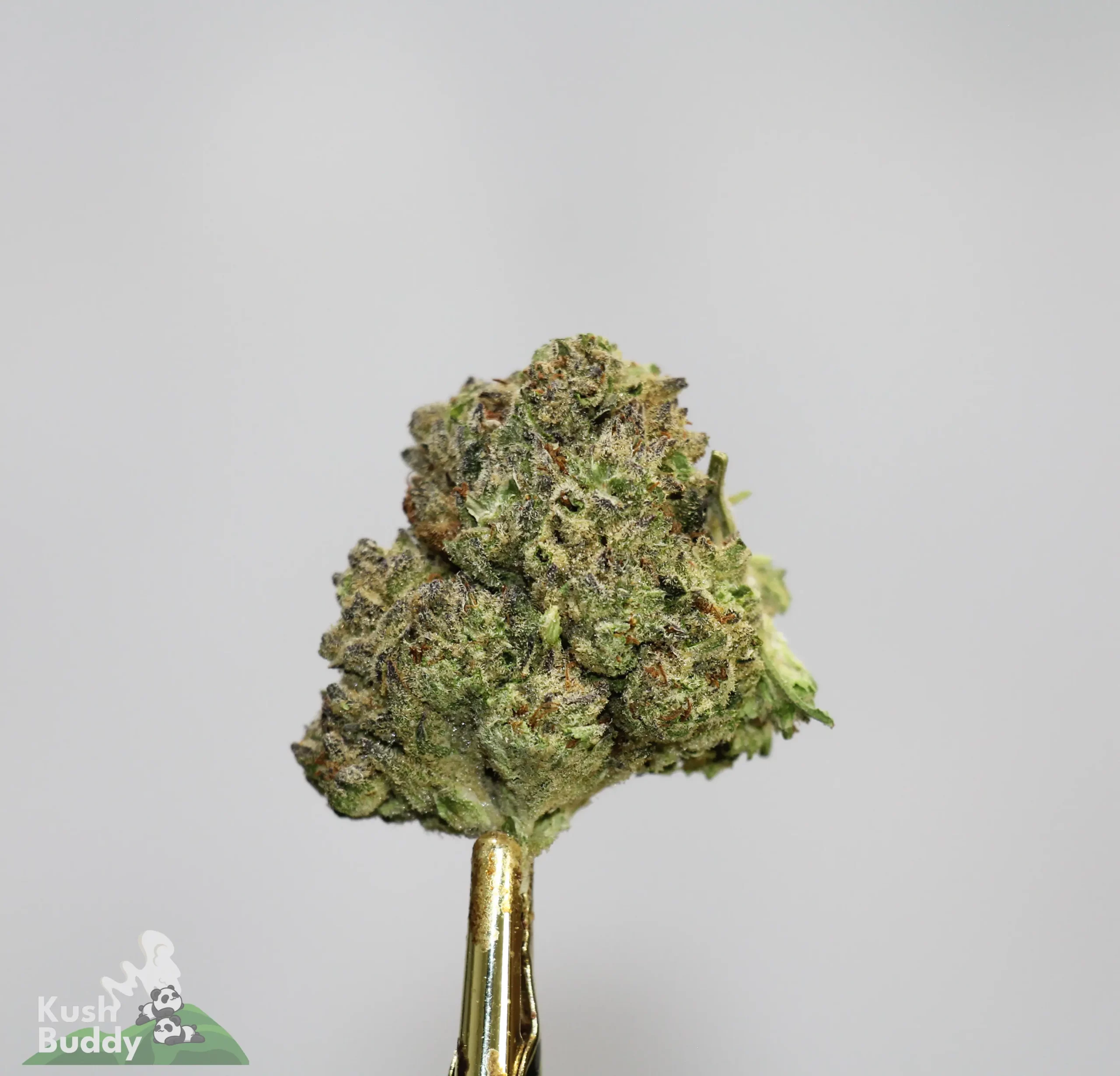 (AAAA-) Super Silver Haze - Image 2