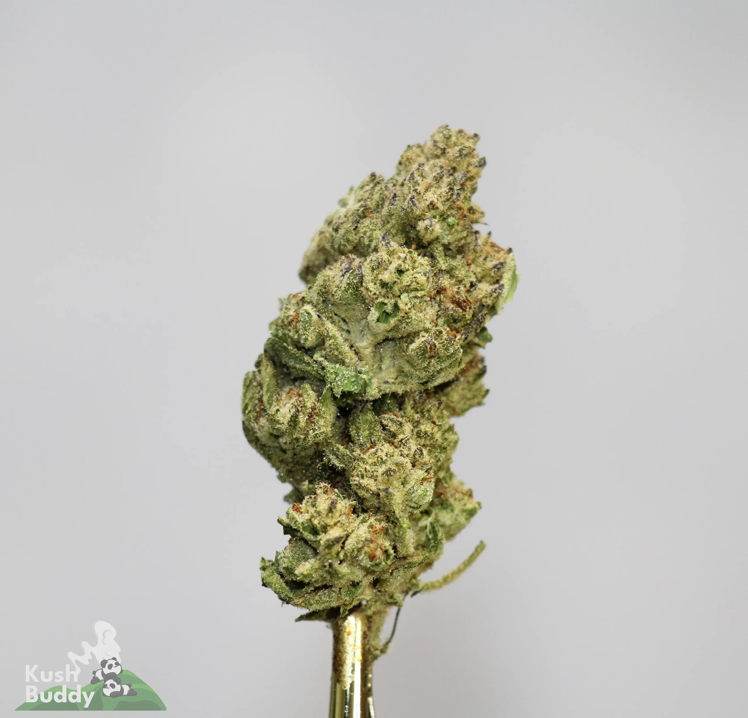 (AAAA-) Super Silver Haze