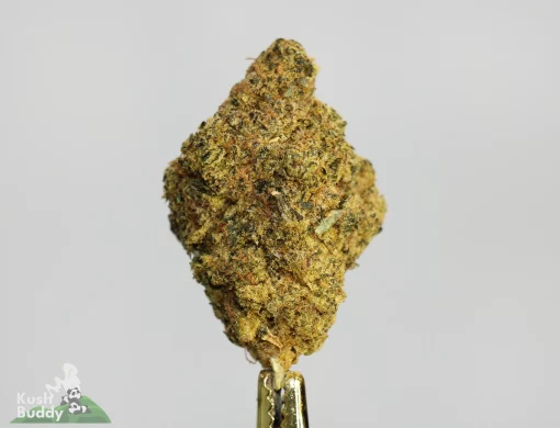 (AAA+) Super Silver Haze