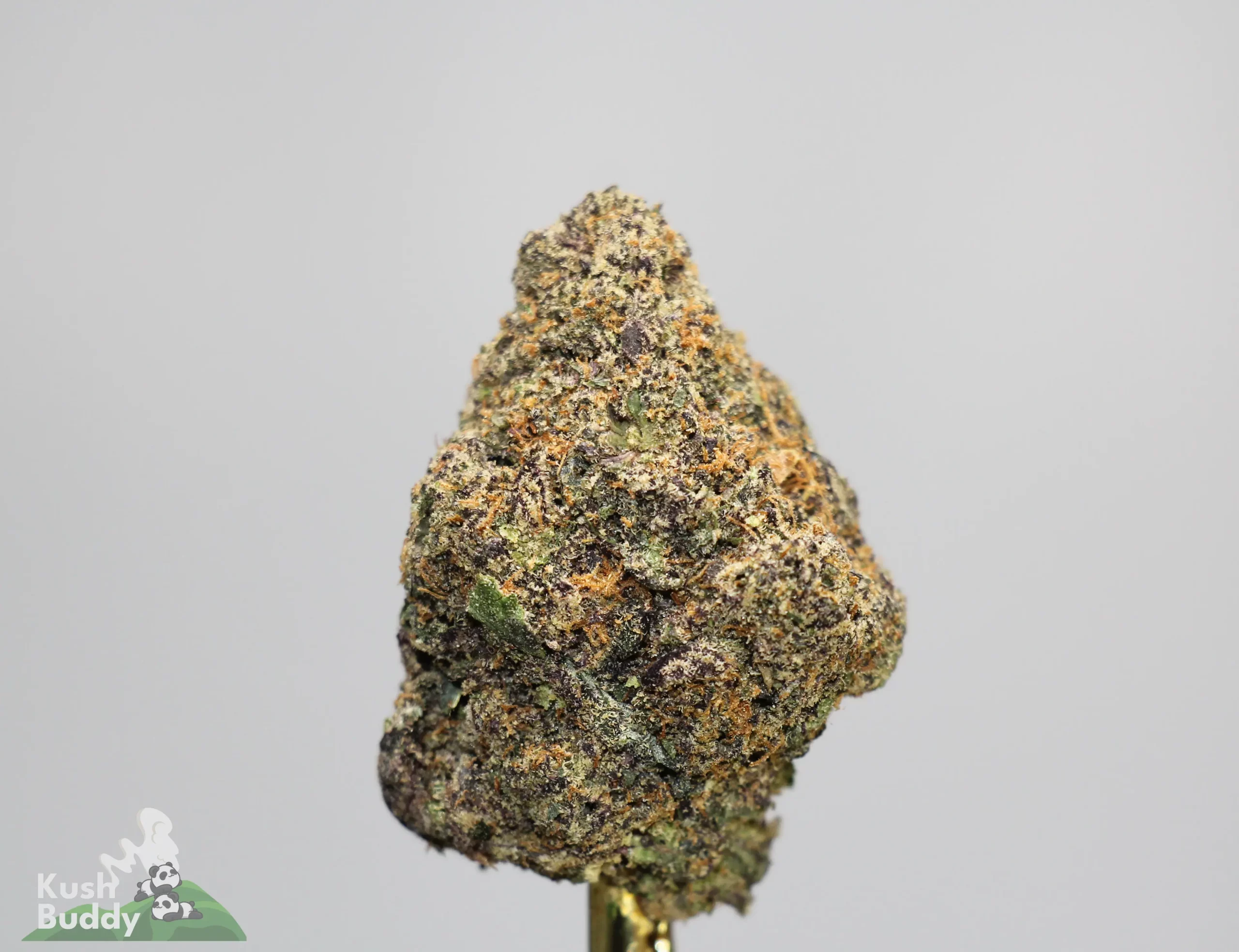 (AAAA - Bulk) Dairy Queen - Image 3