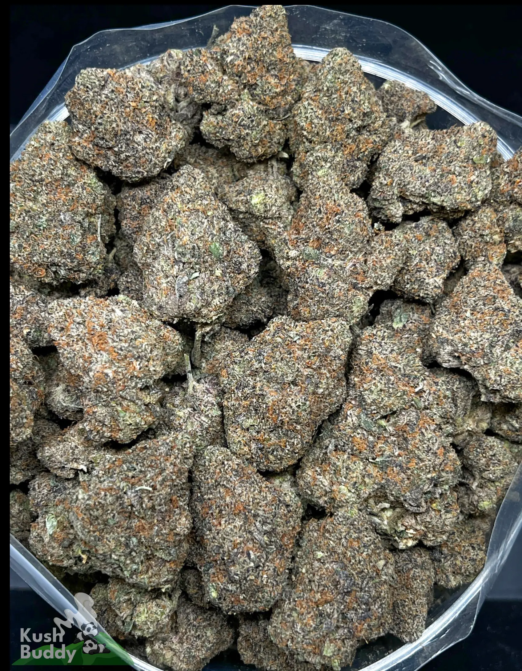 (AAAA - Bulk) Dairy Queen - Image 2